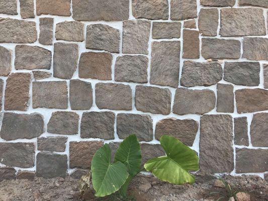 14mm SGSは庭の壁の美化のために装飾的な石の煉瓦を培養した
