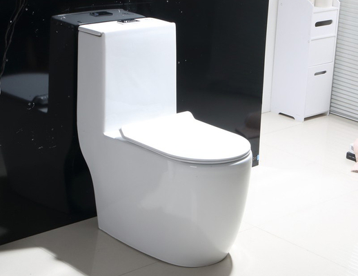 購入 抵抗力がある独特な現代携帯用単一部分のトイレの傷 オンライン製造