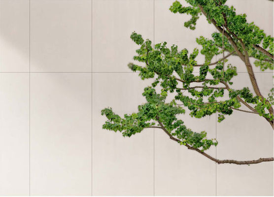 購入 曇り白色マット アンティークポルセランタイル 600x1200mm オンライン製造