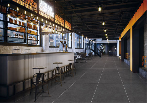 購入 ディープグレー 48x24 スターリーグレーズ磁器タイル 抗菌床 オンライン製造