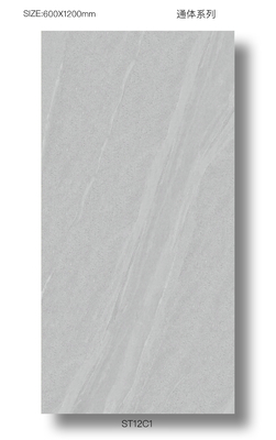 購入 露天床 耐久性60x120cm 全身ポルセラン 装飾タイル テラス用 グレー エコフレンドリータイル オンライン製造