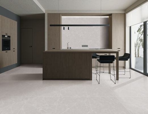 購入 AAAグレード ヴィンテージ グレー磁器タイル 120x60cm 屋内壁装飾 オンライン製造