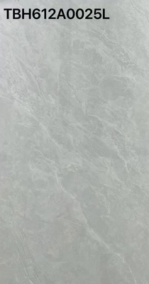 床壁 内装 磨き付いたガラスのタイル 600x1200mm パネル オフィスバルコニー 外面 グレー カララ セラミックタイル