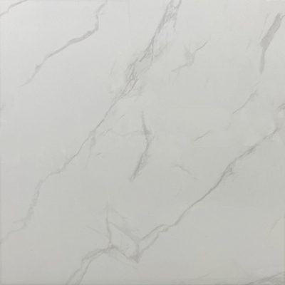 アシド耐性 輝く磨きガラスのタイル 内壁・床パネル 60x60cm リビング W.A 0.05%