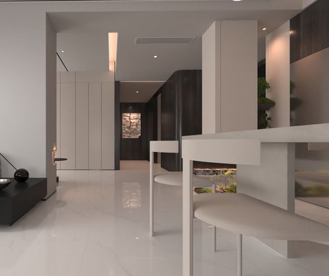 カーララ 耐磨性 消耗性 1mx1m 室内 床 建物 厨房 用 ポーセラン グラス