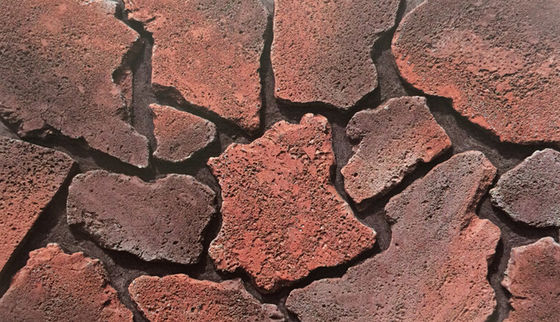 W.A 0.03は培養された石造りの煉瓦14mm塀の壁の装飾を分散させた